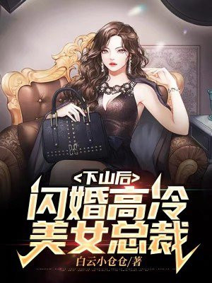 下山后，闪婚高冷美女总裁