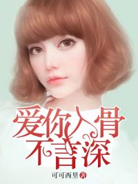 唐如婉慕向南免费阅读