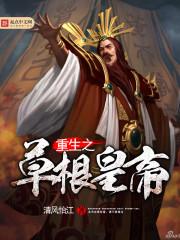 豪门赘婿杨宏在线看