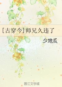 师兄 晋江