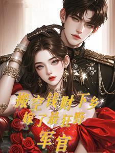 嫁了最狂野军官TXT