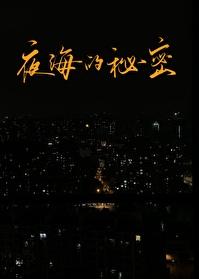 夜海的秘密完整版