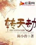 陈小普转天劫