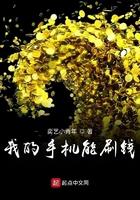 我的手机能刷钱txt