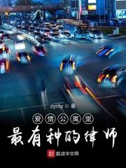 爱情公寓里面的律师