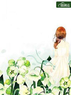 蜜爱甜宠前夫追娇妻