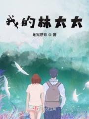 我与林太太的深度合作