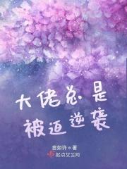 重生之颠覆大宋百度百科