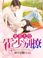 靳少高调隐婚日记免费阅读