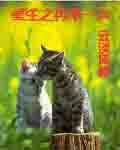 重生之再来一次by月下影蝶