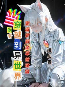 宅男之穿越之旅