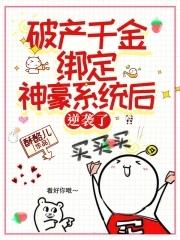 四合院卖气运值