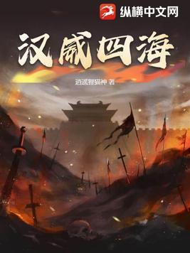 四合院道德先锋作者小毛嗨