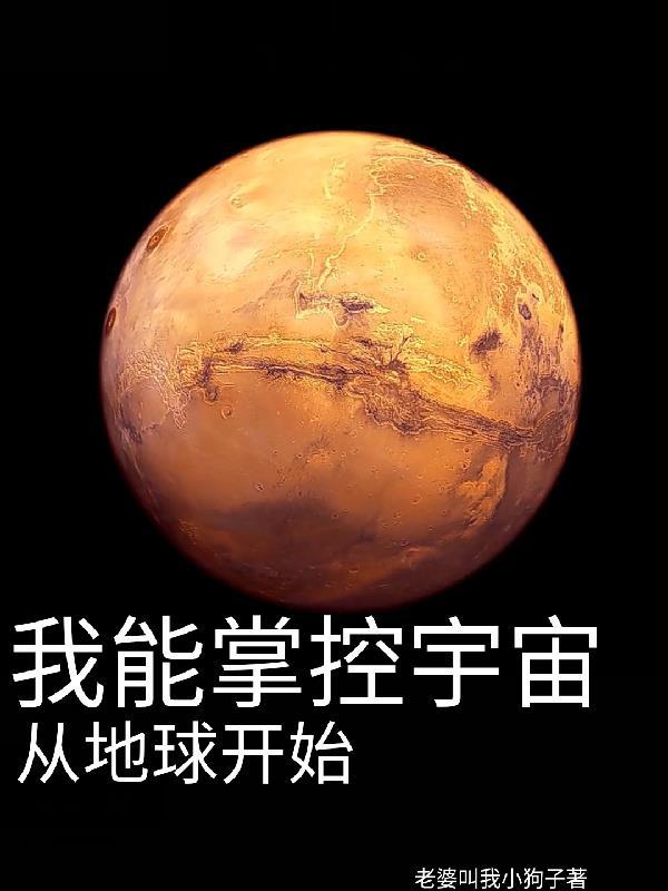 黄荆的功效用途